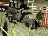 L-springen 201113_3189